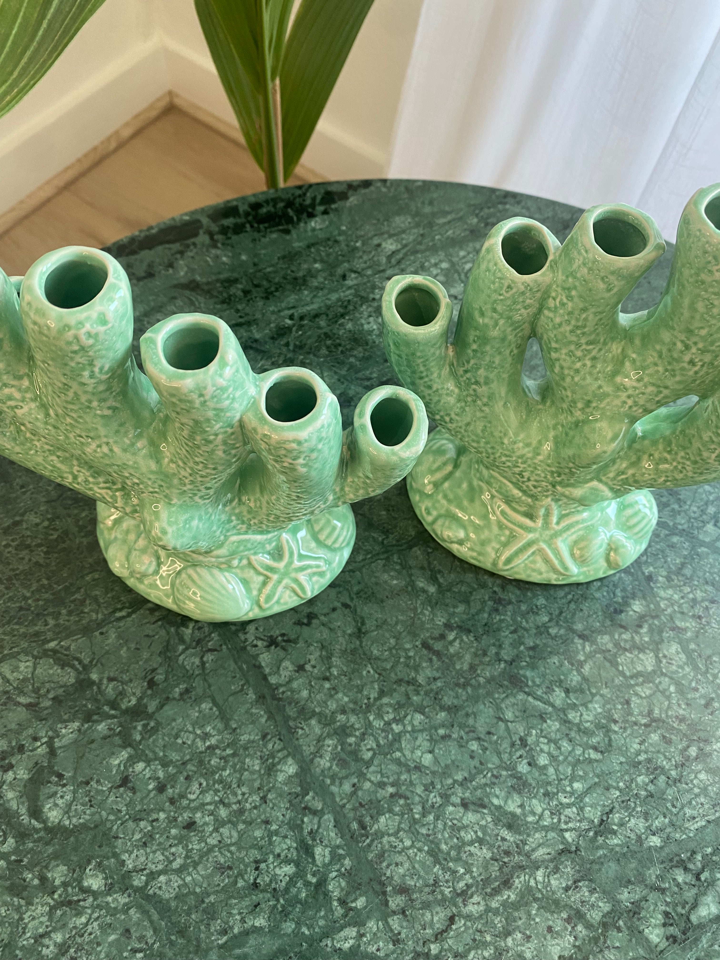 Le Corail Céladon