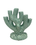 Le Corail Céladon